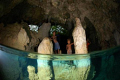 Kids watching us cave dive.Nikon D70s with 10.5 Fisheye lense and Ikelite 400 Substrobe 